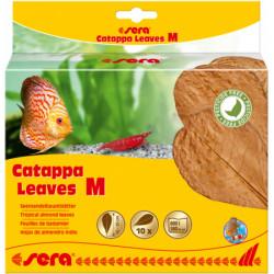 sera Catappa Leaves - Листа от индийски бадем