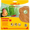 sera Catappa Leaves - Листа от индийски бадем