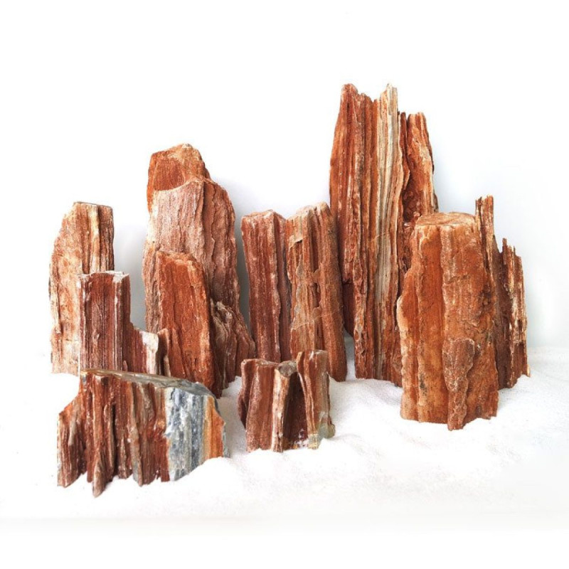 Red Petrified Wood Stone 5-10 cm - 1 kg
