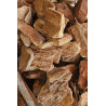Red Petrified Wood Stone 5-10 cm - 1 kg