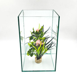 Betta Reflecta 5.5 L - Аквариум за бета с огледален гръб 15х15х25 см -  5.5 литра