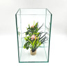 Betta Reflecta 5.5 L - Аквариум за бета с огледален гръб 15х15х25 см -  5.5 литра