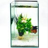 Betta Reflecta 5.5 L - Аквариум за бета с огледален гръб 15х15х25 см -  5.5 литра