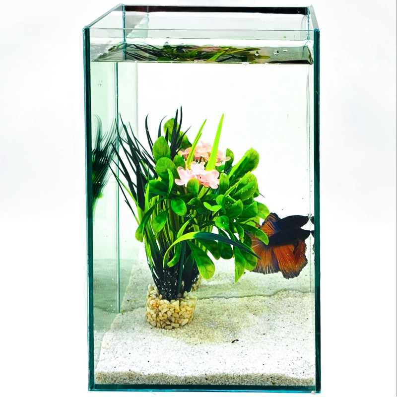 Betta Reflecta 5.5 L + филтър, осветление, нагревател и декорация
