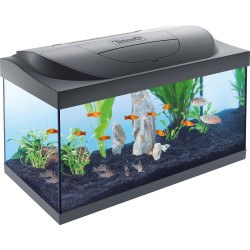 Tetra Starter Line LED 54L Aquarium