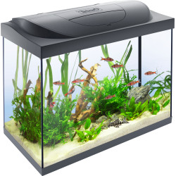 Tetra Starter Line LED 80L Aquarium