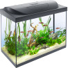 Tetra Starter Line LED 80L Aquarium