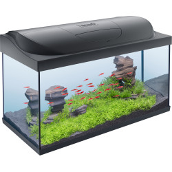 Tetra Starter Line LED 105L Aquarium