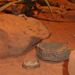 JBL ReptilBar SAND - Купа за хранене, пиене и къпане на терариумни животни в пясъчен цвят