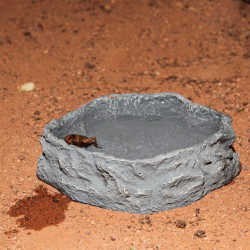 JBL ReptilBar GREY - Купа за хранене, пиене и къпане на терариумни животни в сив цвят