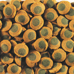 Tetra Pleco Spirulina Wafers - храна под формата на вафли за растителноядни дънни риби