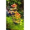 Rotala macrandra - Ротала макрандра - Инвитро