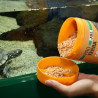 JBL PROTERRA GAMMARUS - Храна, приготвена от гамарус за всички водни костенур
