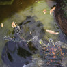 JBL PROTERRA CRUSTARUS - Пълноценна хранителна смес за водни и водни костенурки, приготвена от раци, риба, скариди и пръчици