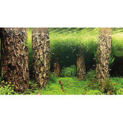 HOBBY Scaping Hill / Scaping Forest 60x30 cm - двустранен фон за аквариум