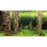 HOBBY Scaping Hill / Scaping Forest 60x30 cm - двустранен фон за аквариум