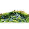 HOBBY Scaping Hill / Scaping Forest 60x30 cm - двустранен фон за аквариум