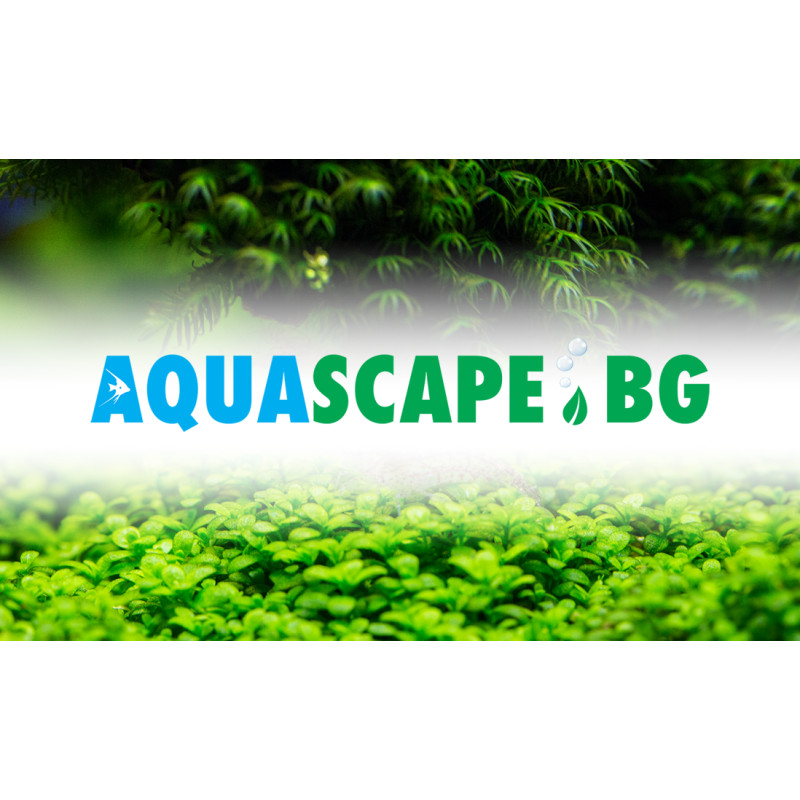 Подаръчен ваучер – Aquascape.bg