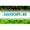 Подаръчен ваучер – Aquascape.bg