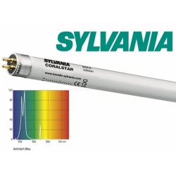 Sylvania Coralstar T5 54W 115cm